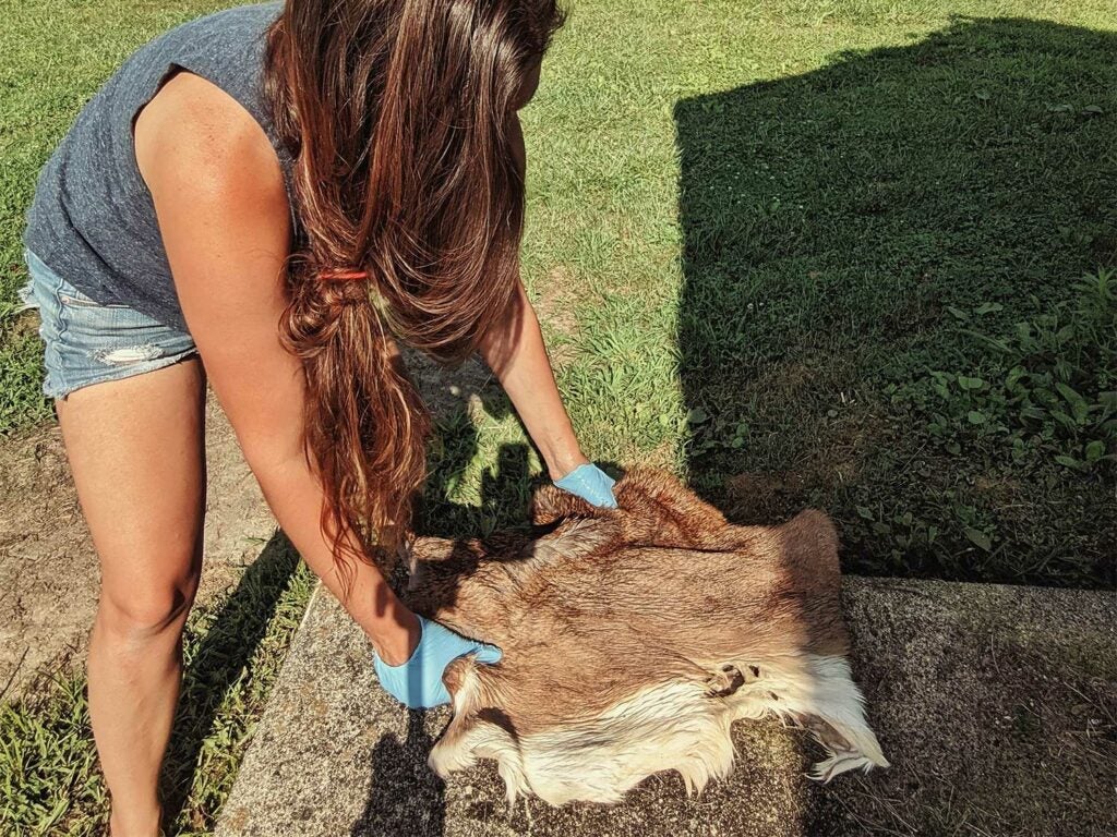 a woman softening a deer hide