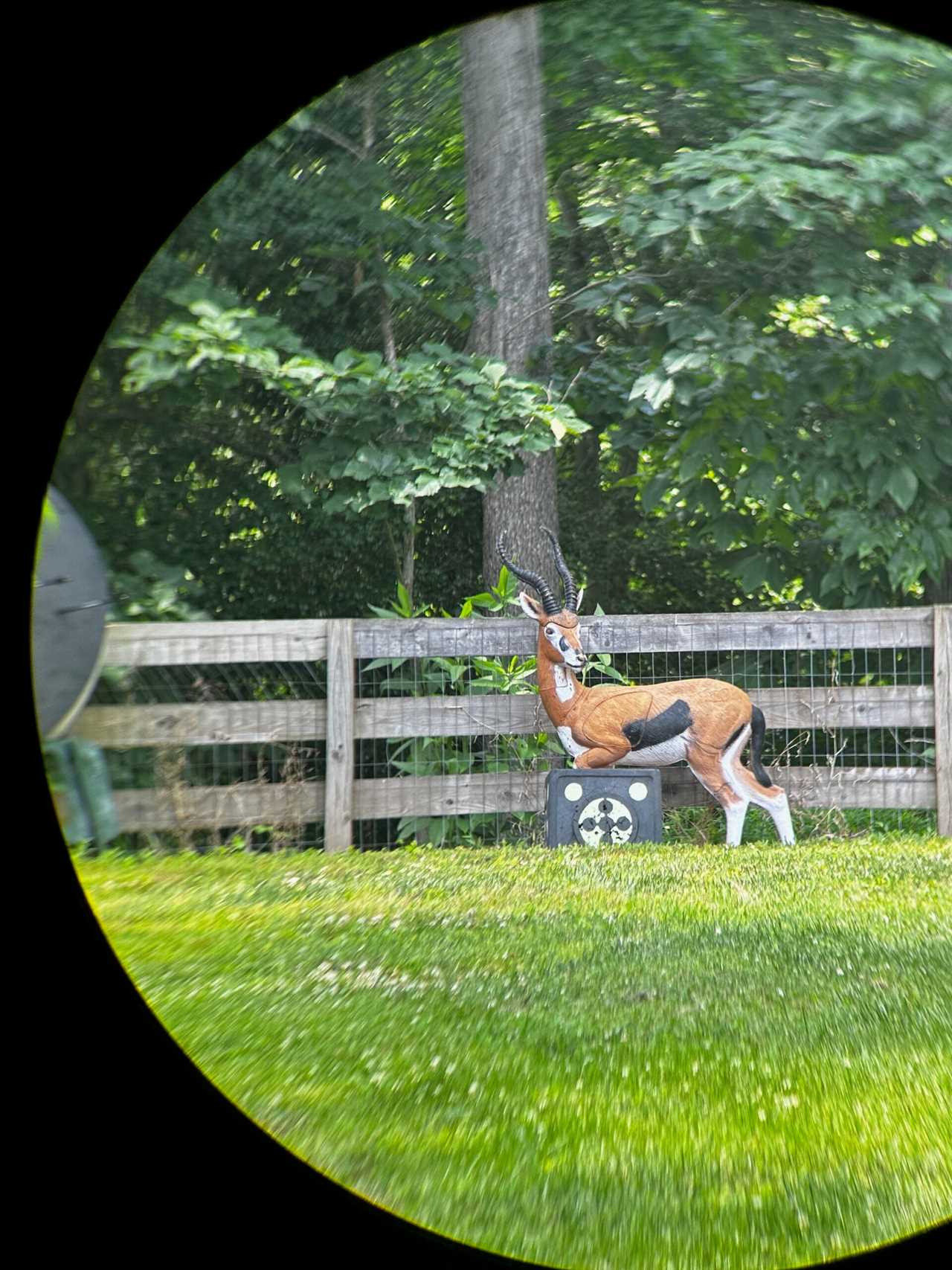 Binoculars photo