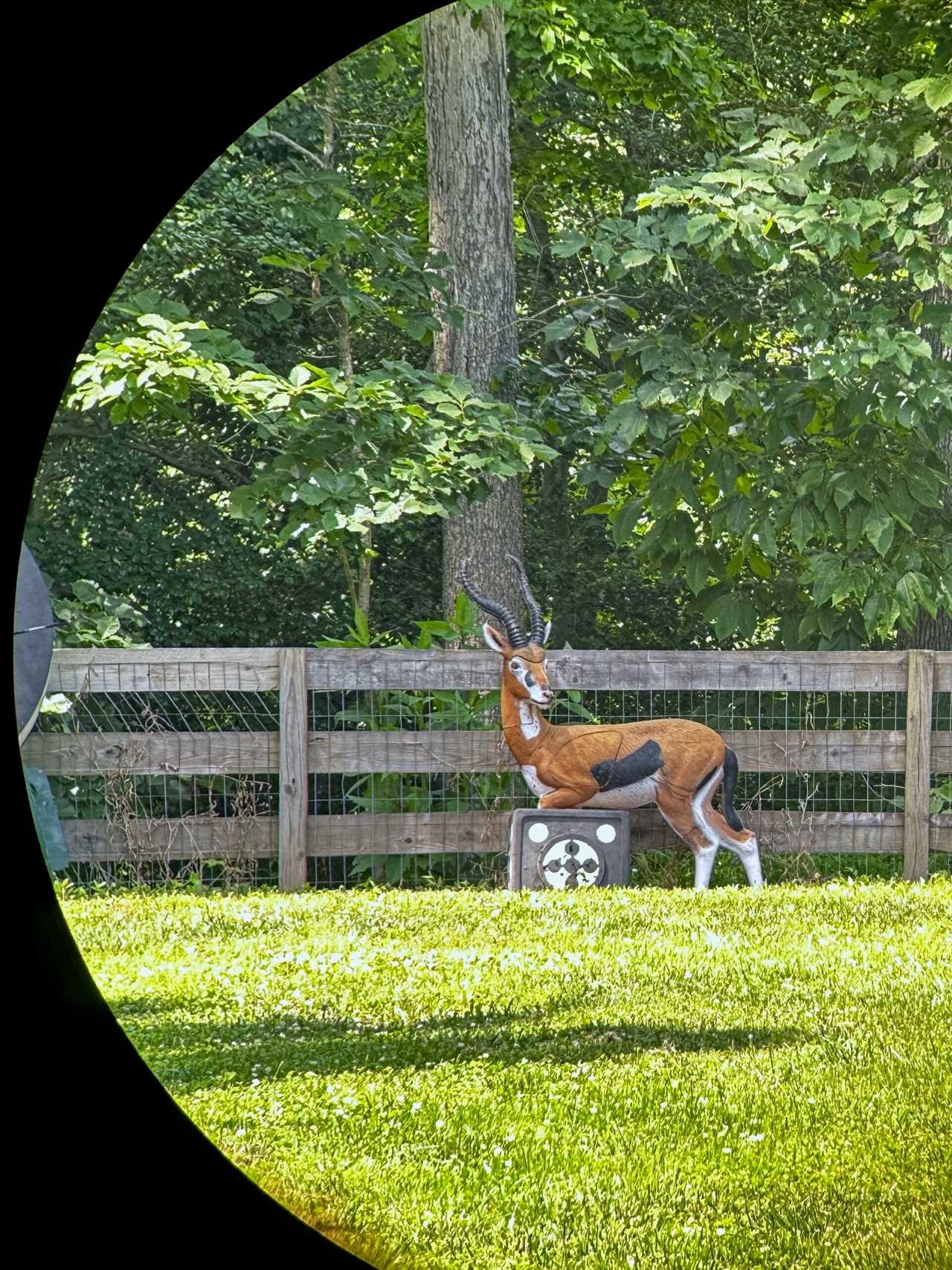 Binoculars photo