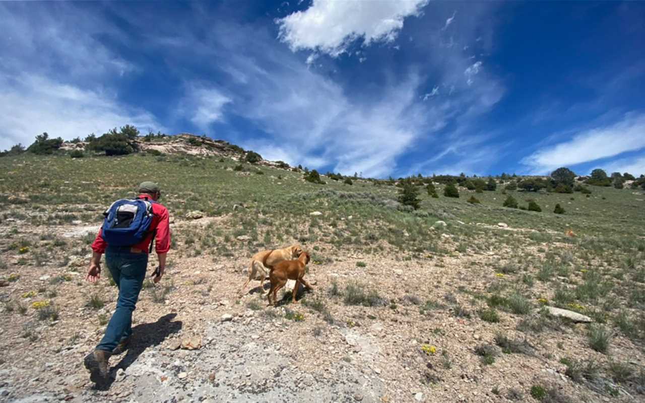 Hiking in the foothills.