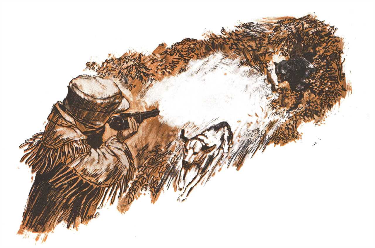 An illustration of a hunter in a cap aiming at a black bear bursting from cover.