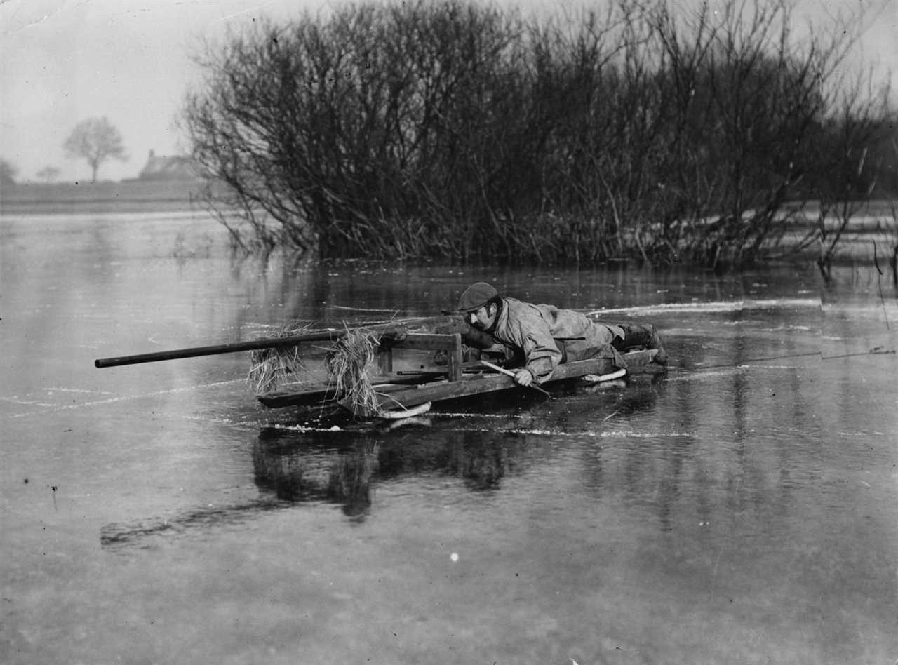 duck shooter with punt gun