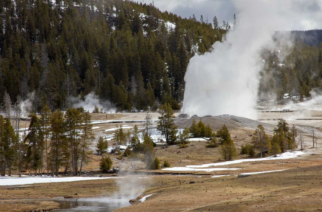  lion geyser at yellowstone national park