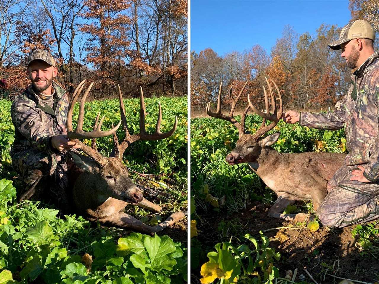 bowhunter southern indiana foot plot