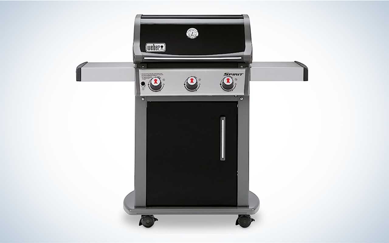 We tested the Weber Spirit E-315.