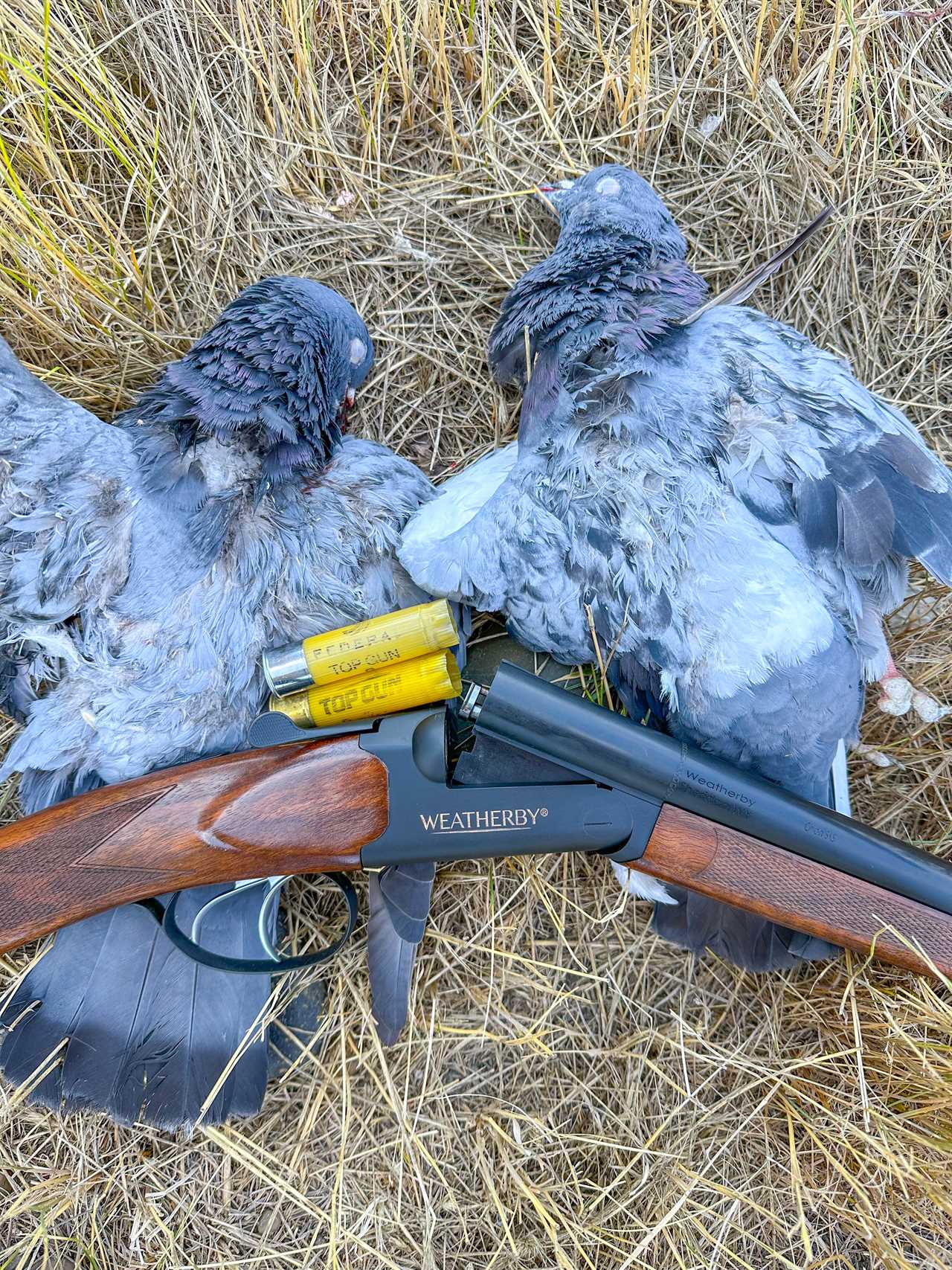 Weatherby Orion SXS Review