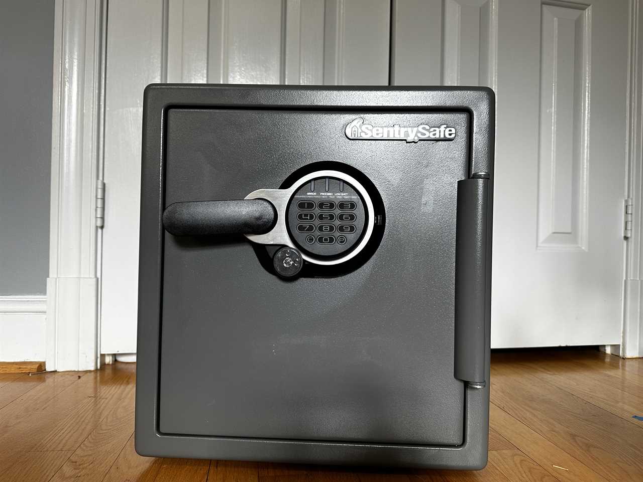 SentrySafe Waterproof and Fireproof Safe