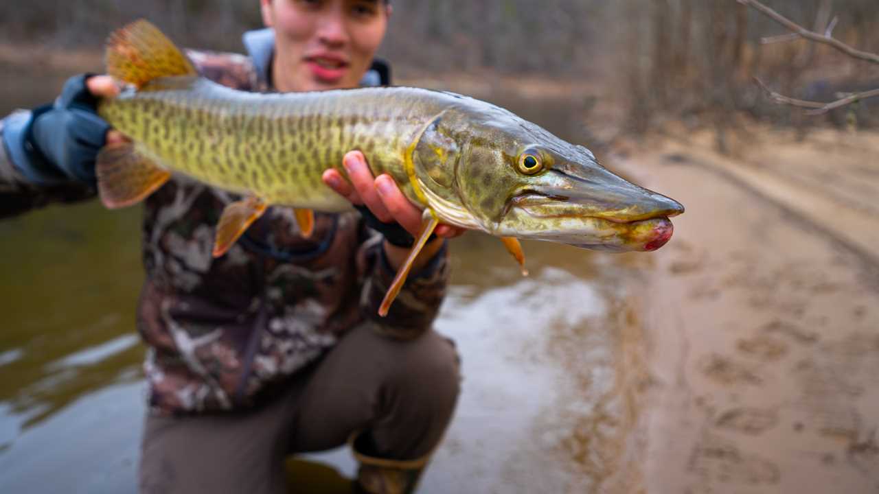 Orvis Helios Casting Test: Is This the Most Accurate Fly Rod on the Market?