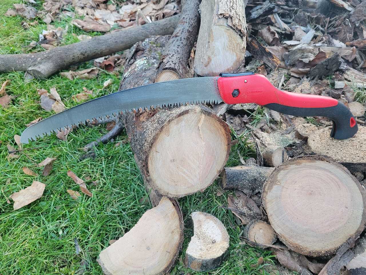 The Corona folding saw