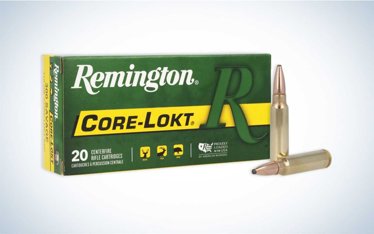300 Savage Ammo