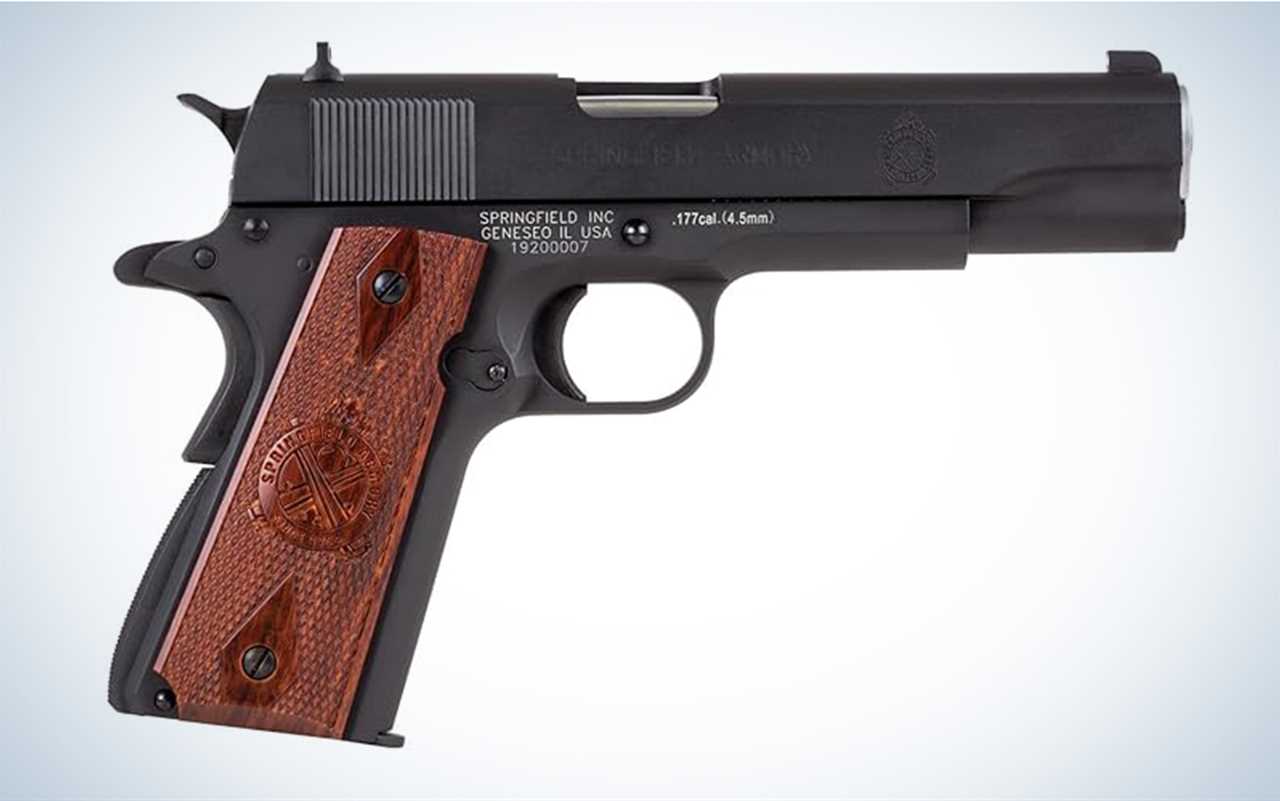 Springfield 1911 Mil Spec Stainless