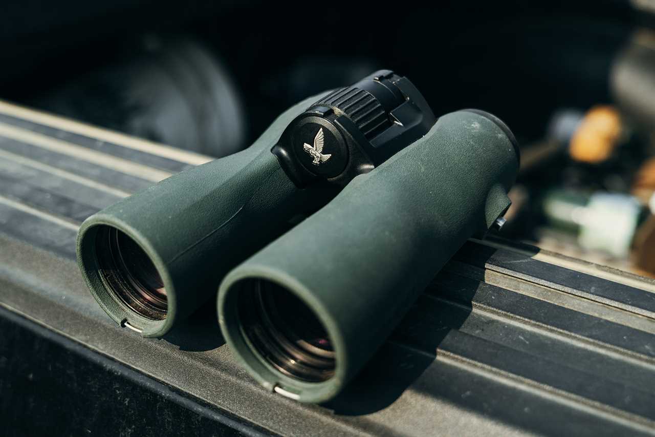 The Best Binoculars for Bird Watching of 2024, Tested and Reviewed