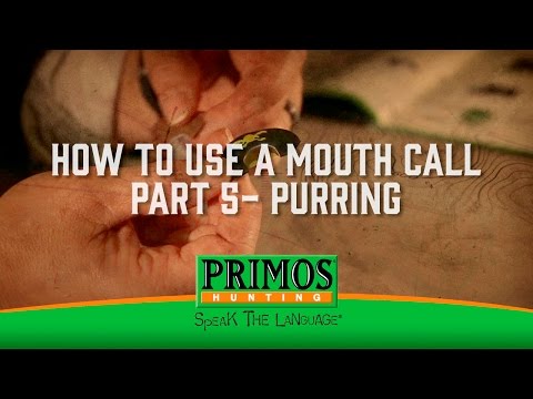 How to Use a Turkey Mouth Call, with Video Tutorials