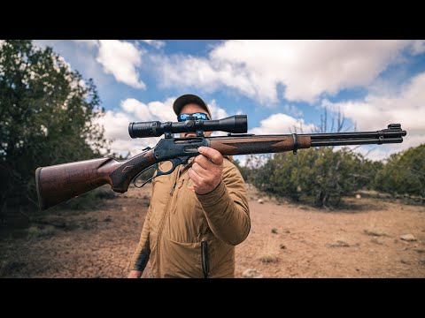 The Best Rifles of 2023