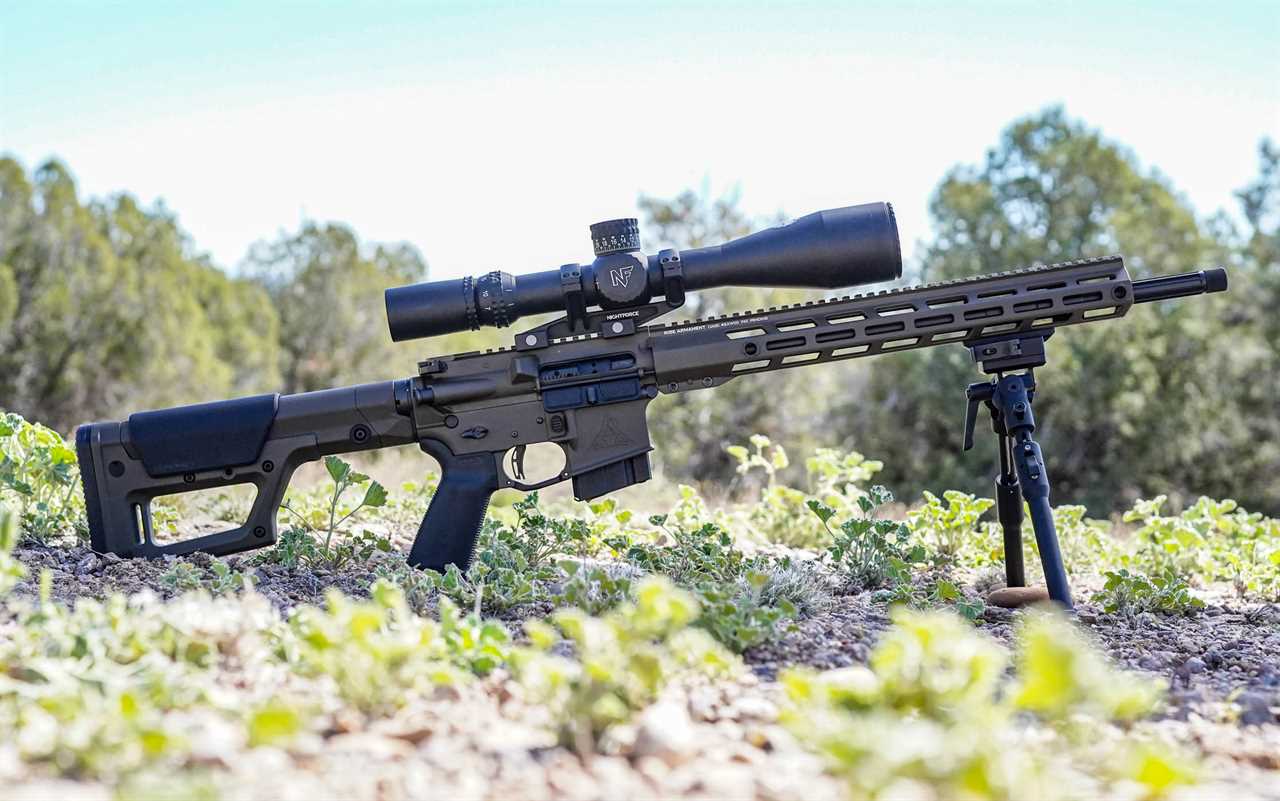 The Best Rifles of 2024, Tested and Reviewed