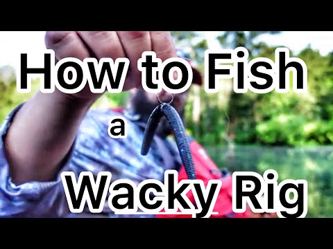 Wacky Rig: A Complete Guide on Rigging, Setups, and How to Fish It