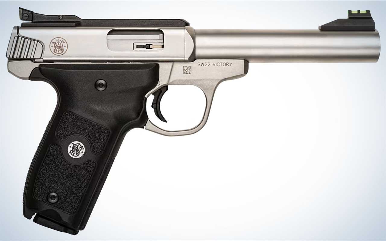 Smith u0026 Wesson SW-22 Victory