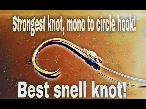How to Tie a Snell Knot: Step-By-Step Guide With Photos and Video