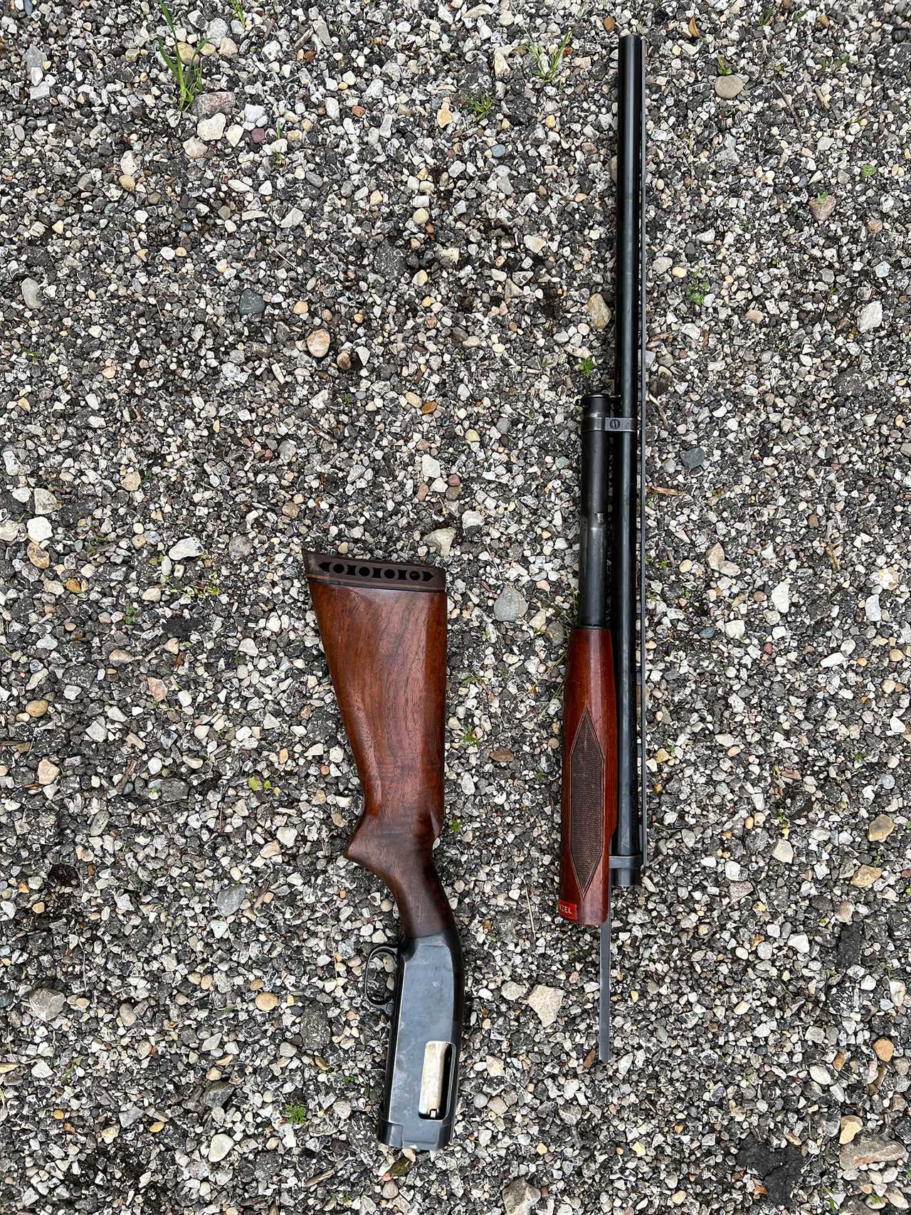winchester model 12