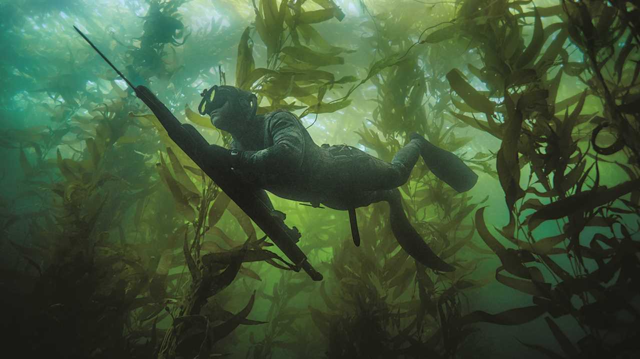 underwater spearfisherman