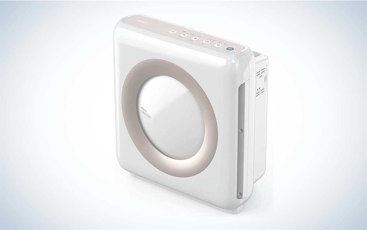 Best Air Purifiers for Smoke of 2024, Tested