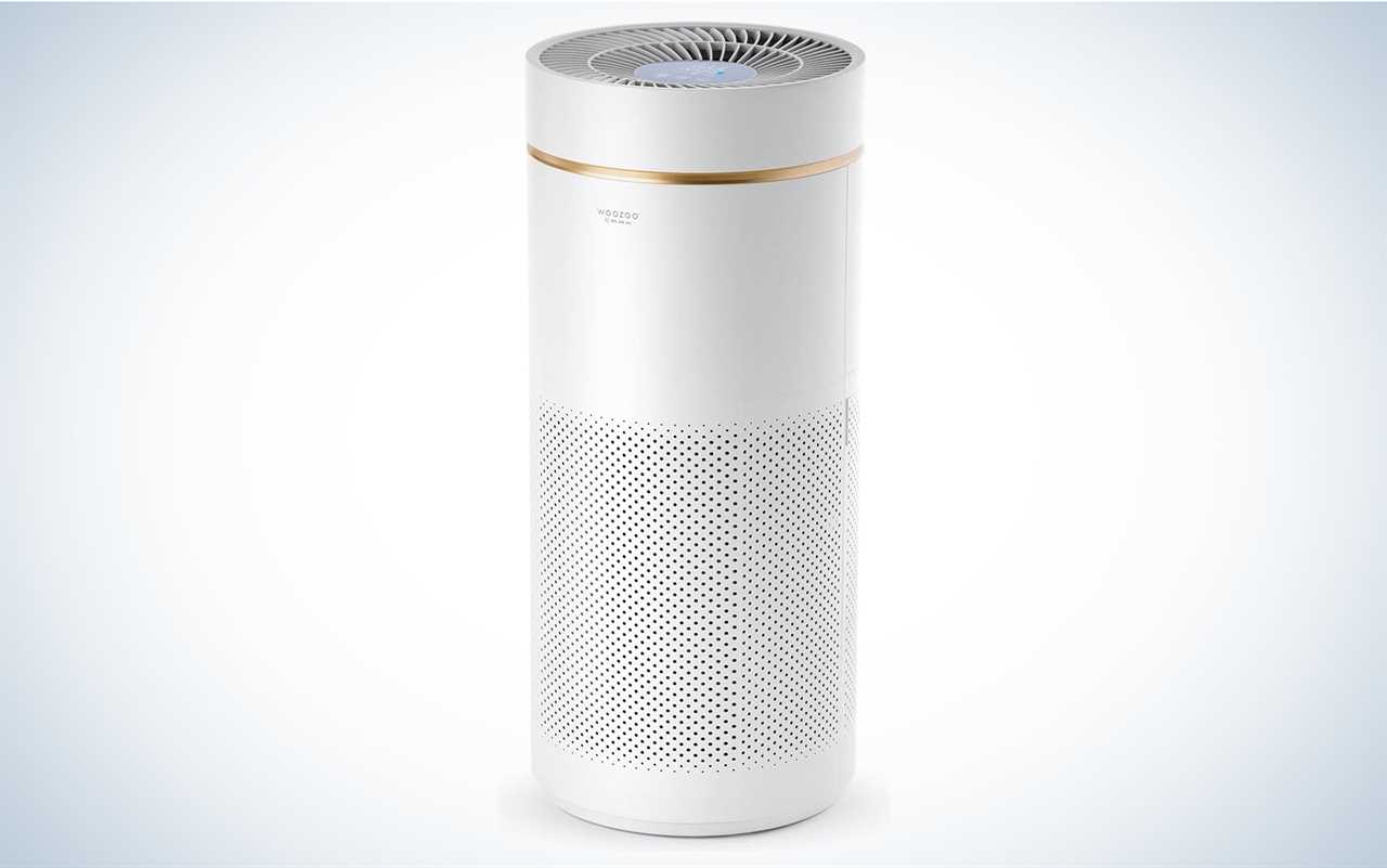 Best Air Purifiers for Smoke of 2024, Tested