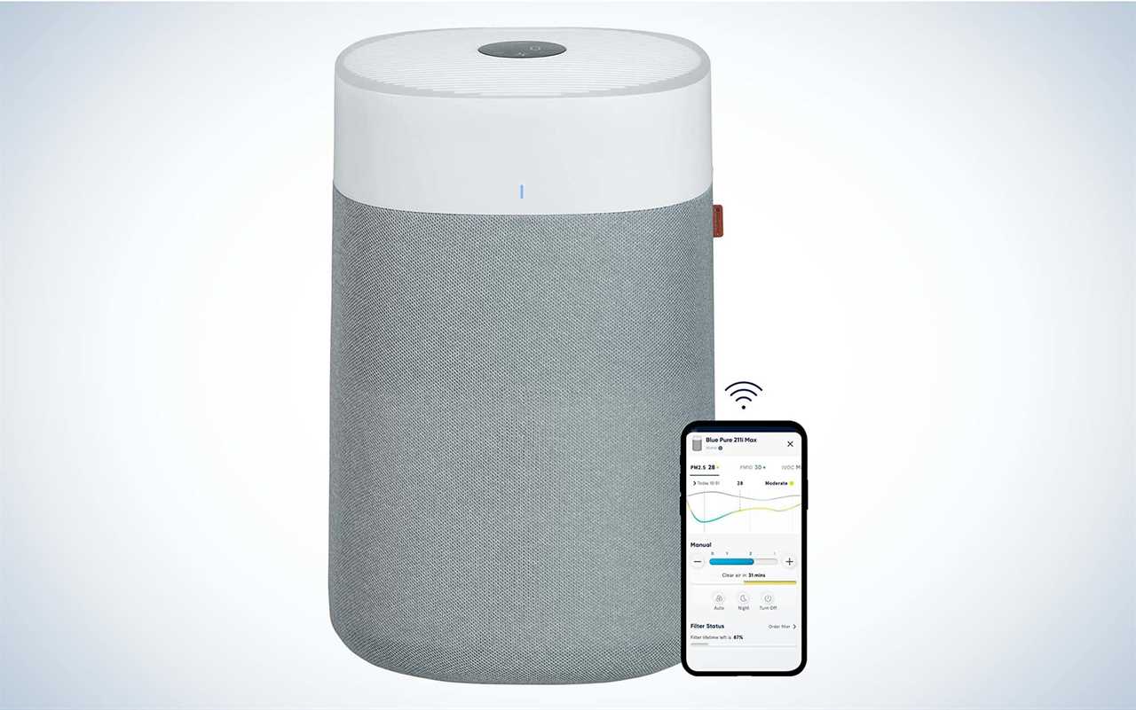 Best Air Purifiers for Smoke of 2024, Tested