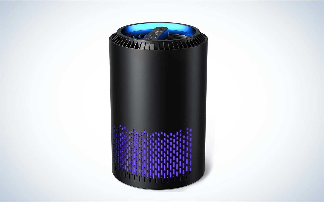 Best Air Purifiers for Smoke of 2024, Tested
