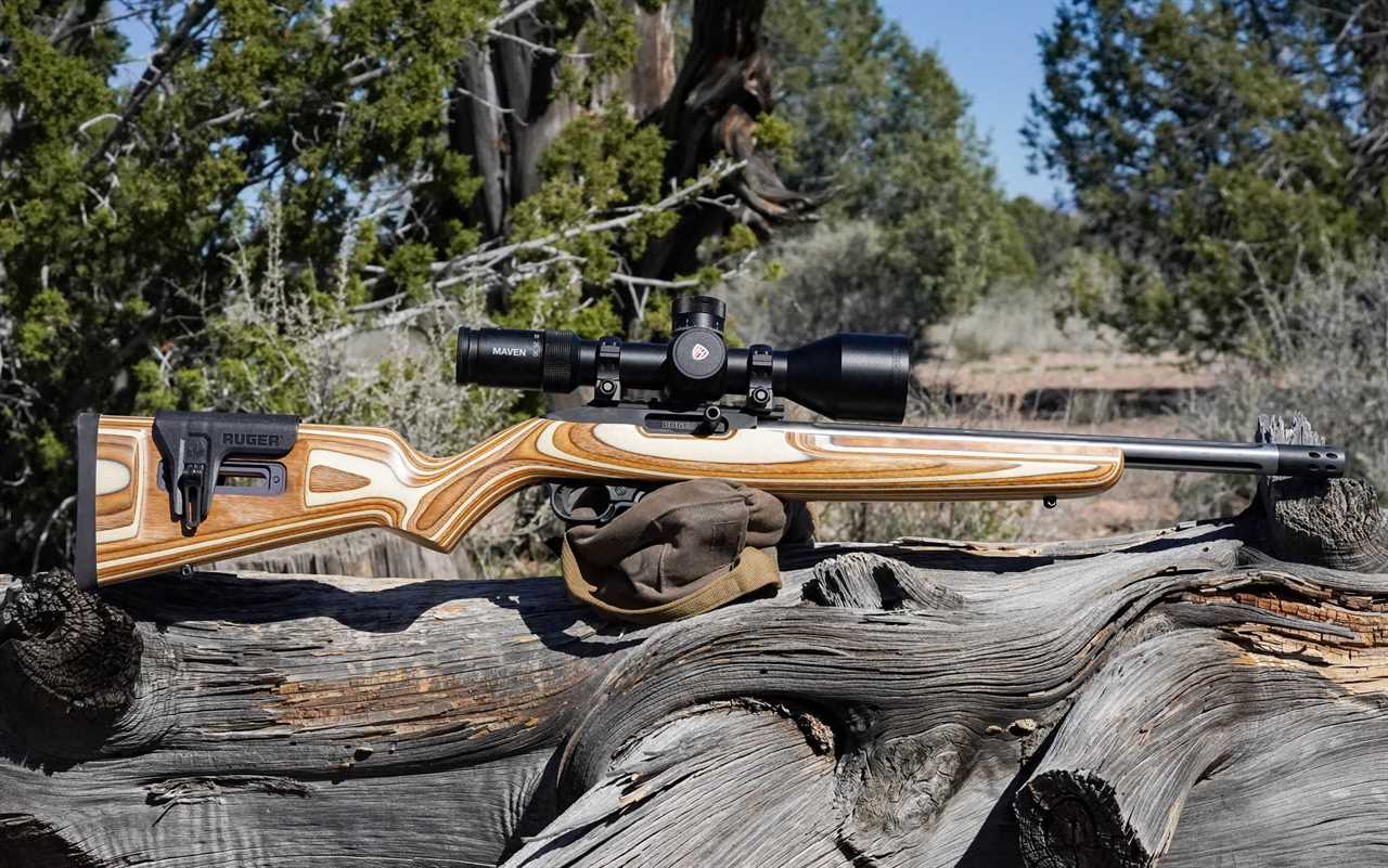 The Best .22 LR Rifles of 2024, Tested and Reviewed