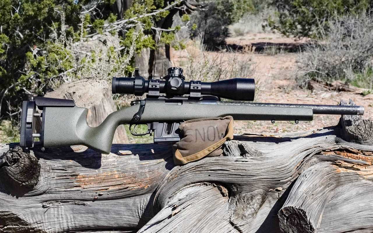 The Best .22 LR Rifles of 2024, Tested and Reviewed