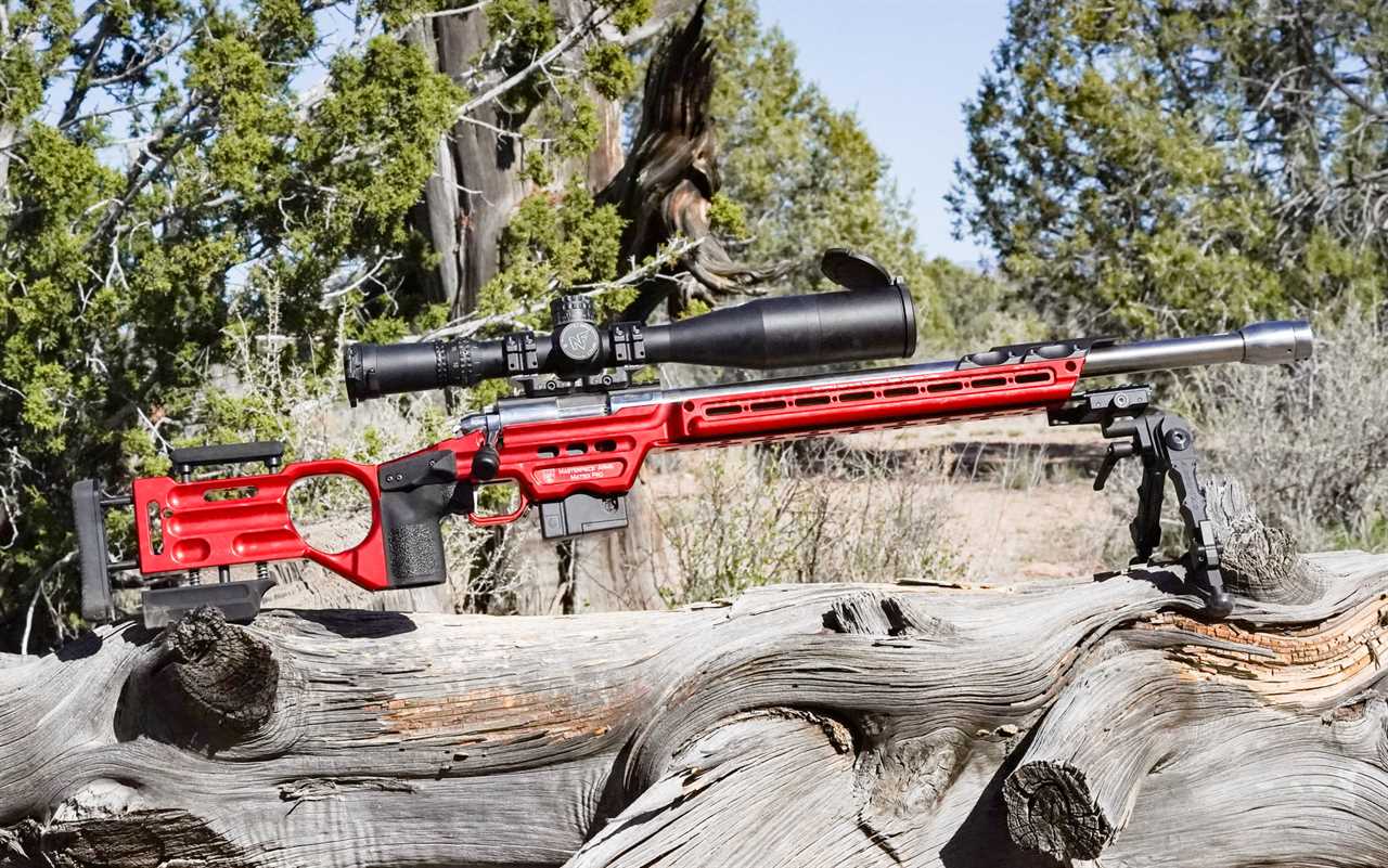 The Best .22 LR Rifles of 2024, Tested and Reviewed