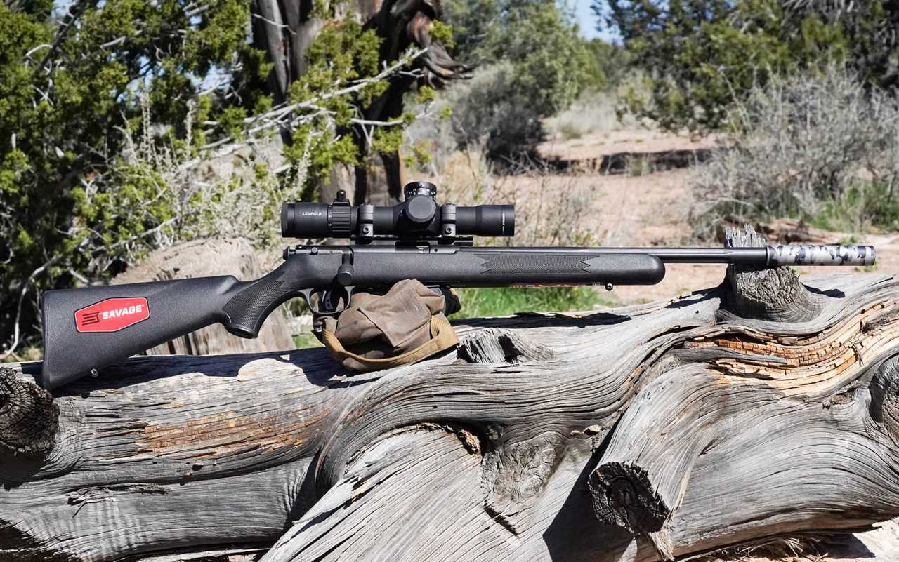 The Best .22 LR Rifles of 2024, Tested and Reviewed