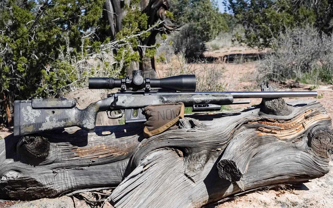 The Best .22 LR Rifles of 2024, Tested and Reviewed