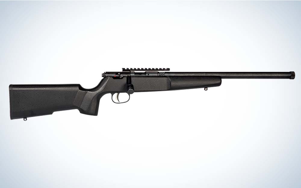 The Best .22 LR Rifles of 2024, Tested and Reviewed