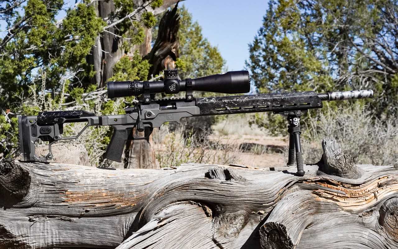 The Best .22 LR Rifles of 2024, Tested and Reviewed