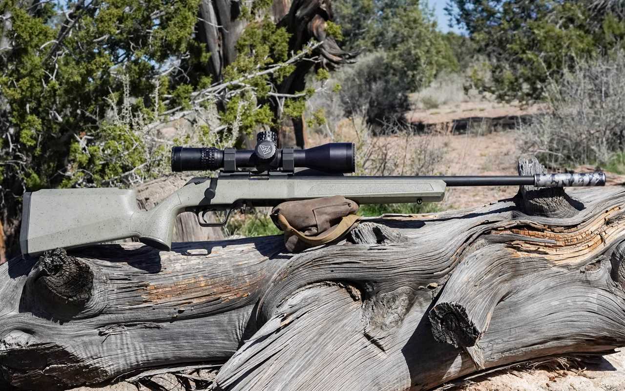 The Best .22 LR Rifles of 2024, Tested and Reviewed