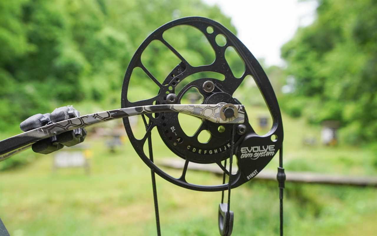 The Best Compound Bows for the Money of 2024, Tested and Reviewed