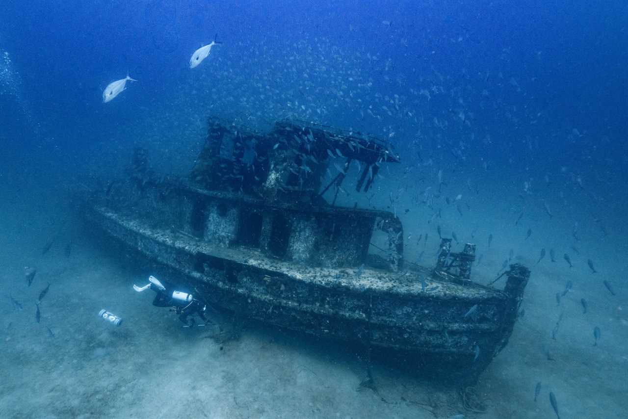 Two lionfish divers on a wreck.