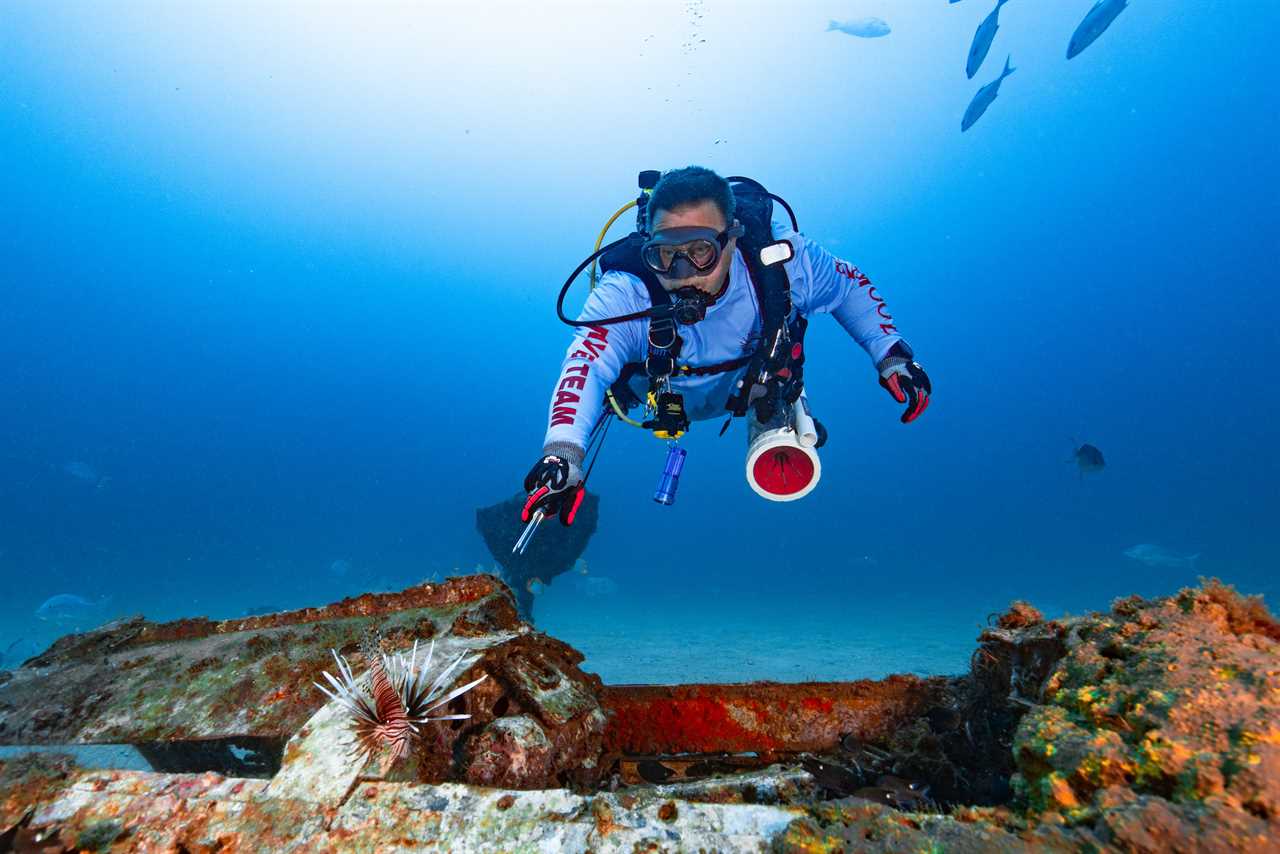 A spearfisherman prepares to shoot a lionfish.