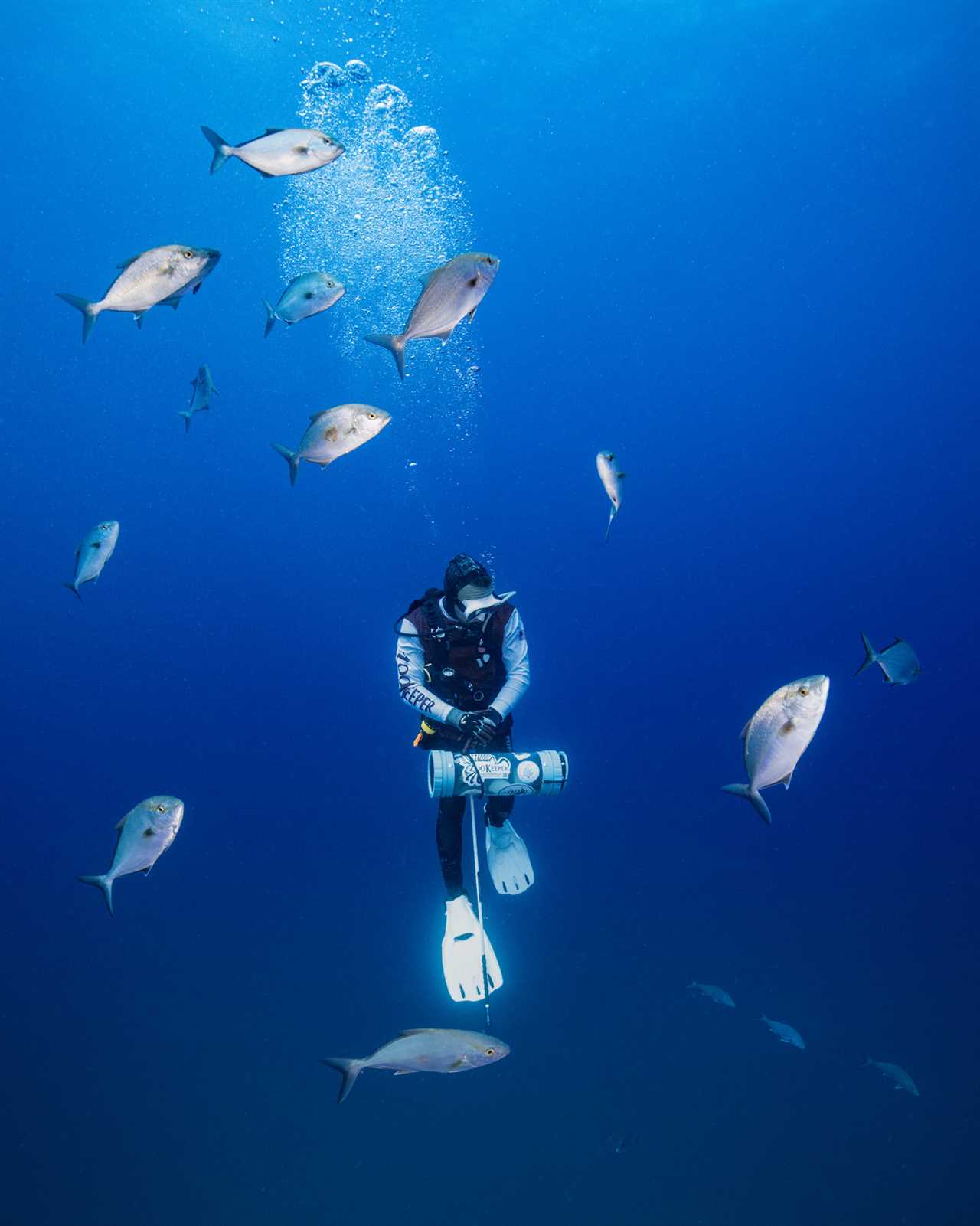 A lionfish spearfisherman swims to the surface.