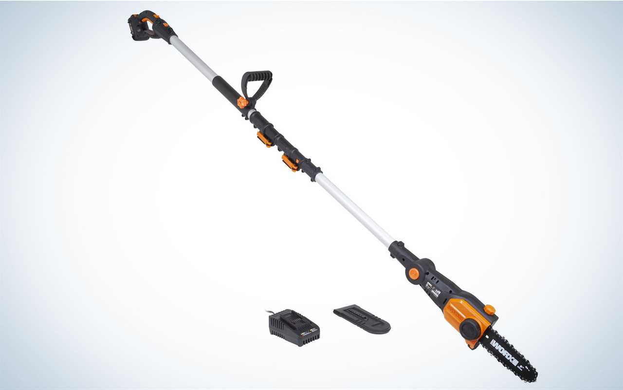 Worx 20v Power Share Pole Saw