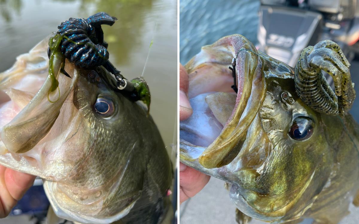 How to Fish a Texas Rig: A Complete Guide on Baits, Tactics, and More