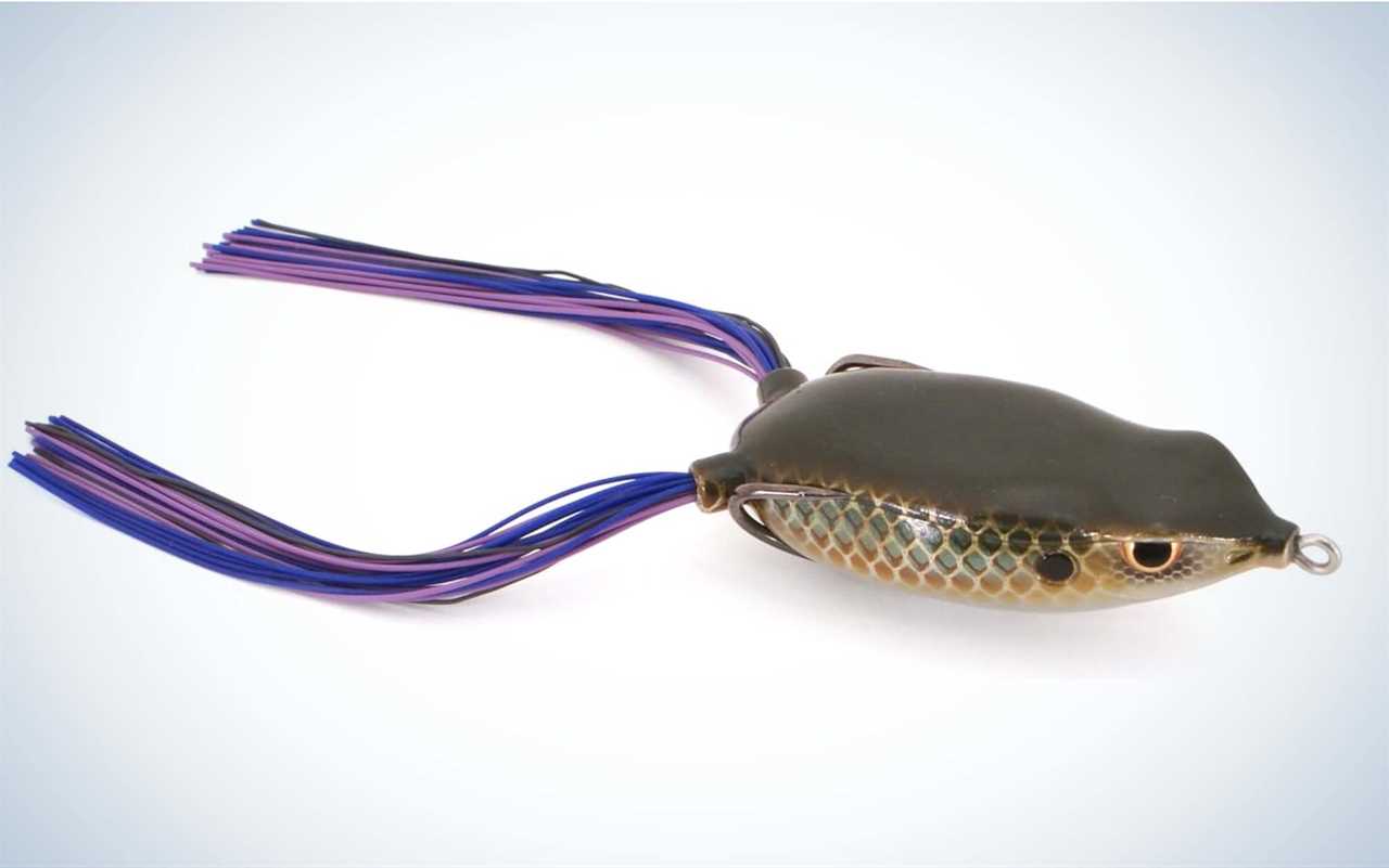 How to Catch Bass on Frog Baits