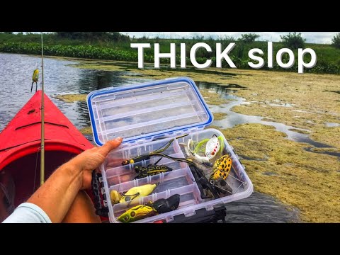 How to Catch Bass on Frog Baits