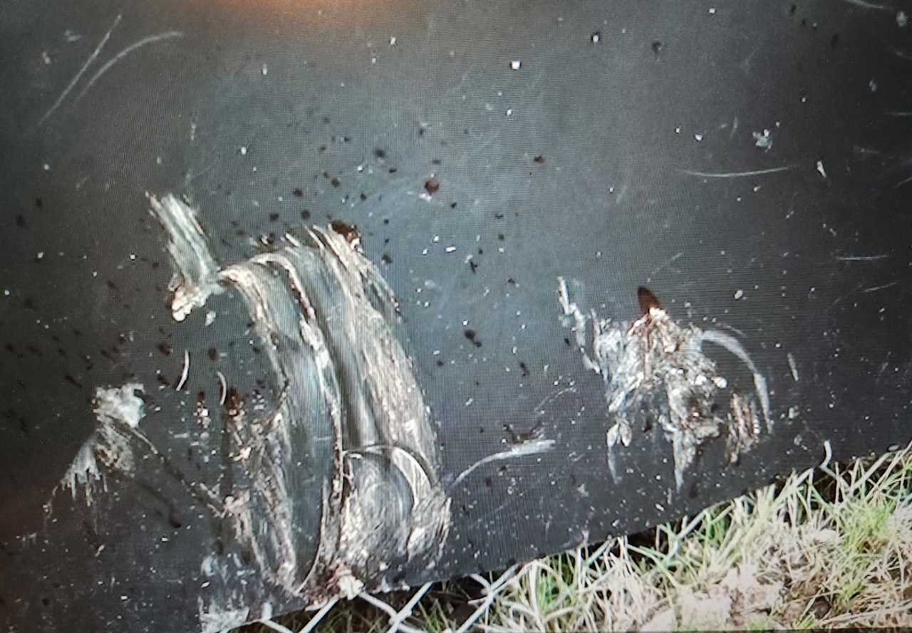 A tarp covered in blood and bullet holes.