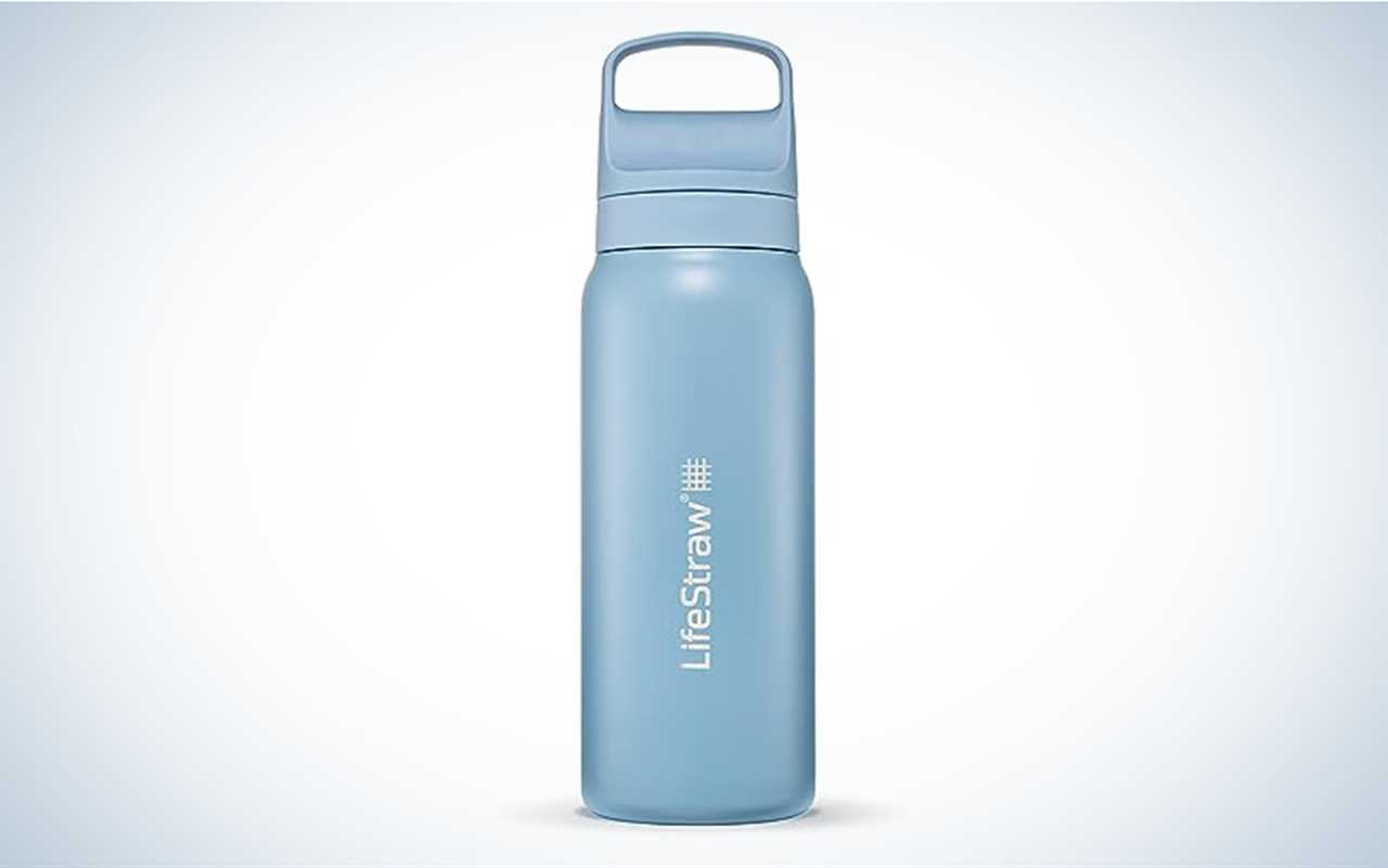 LifeStraw GoSeries Stainless Steel