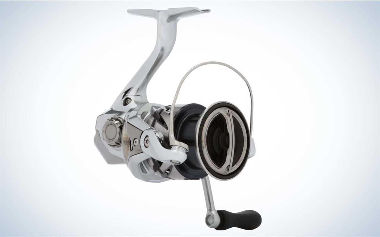 The Best Inshore Spinning Reels of 2024, Tested and Reviewed