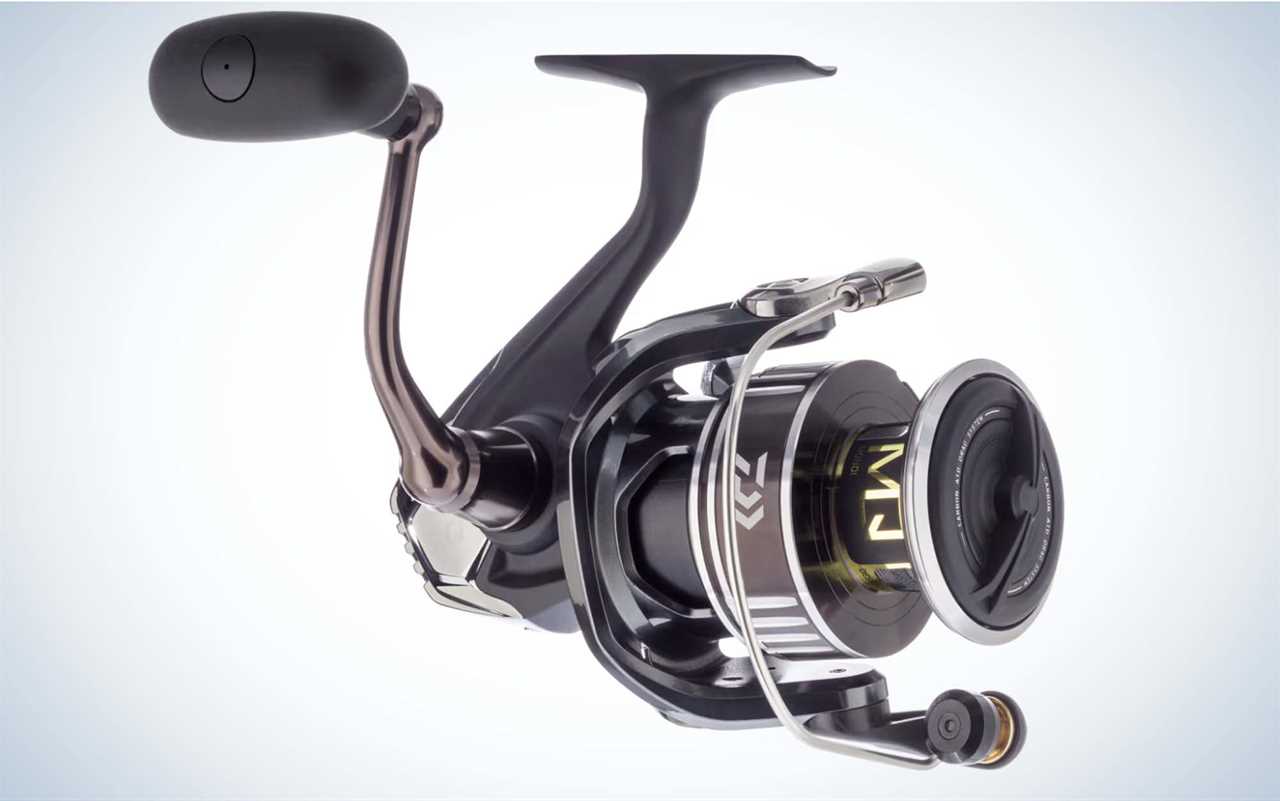 The Best Inshore Spinning Reels of 2024, Tested and Reviewed