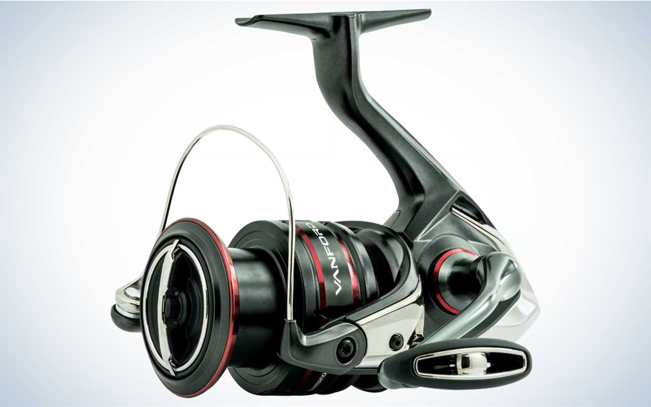 The Best Inshore Spinning Reels of 2024, Tested and Reviewed