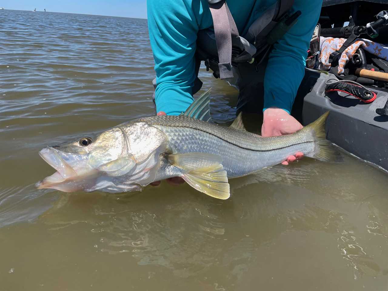 The Best Inshore Spinning Reels of 2024, Tested and Reviewed